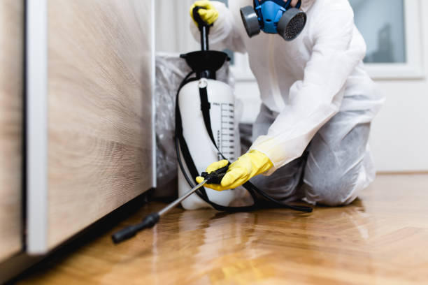 Professional Pest Control in Napavine, WA
