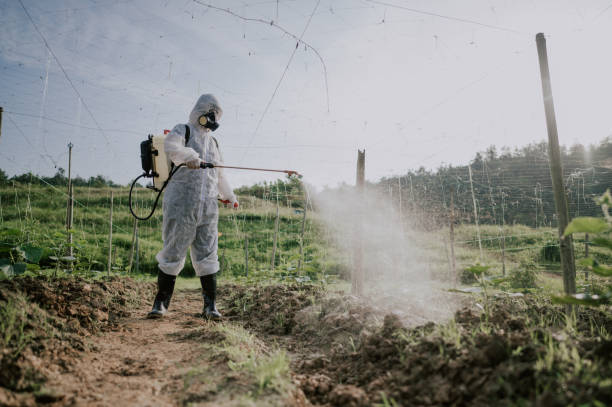 Best Pest Control Near Me  in Napavine, WA