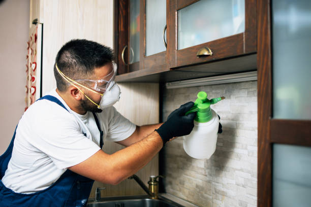 Best Pest Inspection Near Me  in Napavine, WA