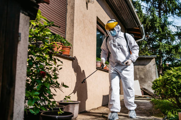 Best Affordable Pest Control Services  in Napavine, WA