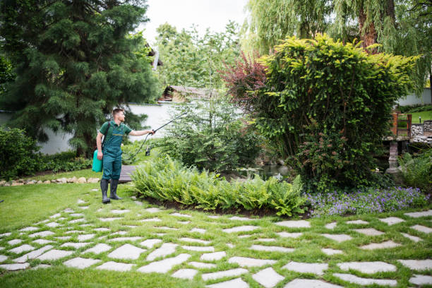 Insect Control in Napavine, WA
