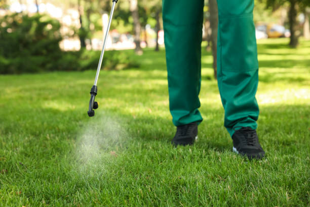 Best Rodent Control Near Me  in Napavine, WA