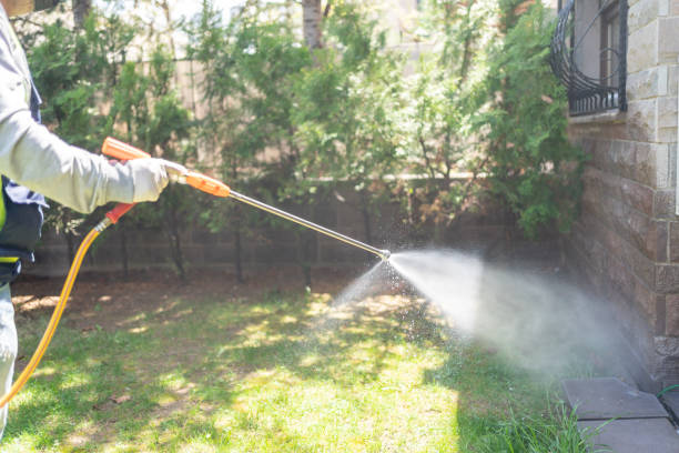Best Spider Control Near Me  in Napavine, WA