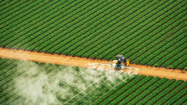 Best Pest Prevention Services  in Napavine, WA