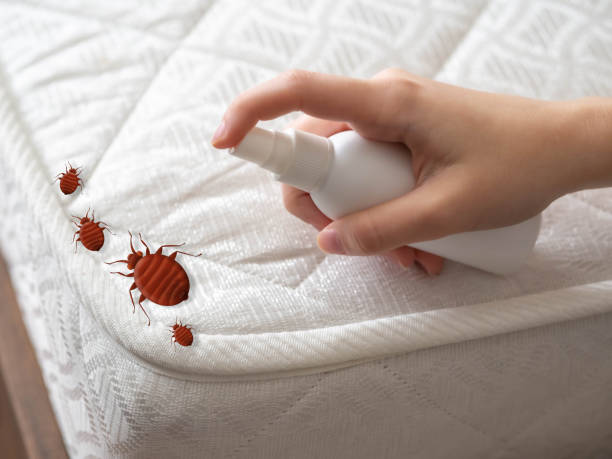 Best Insect Control  in Napavine, WA