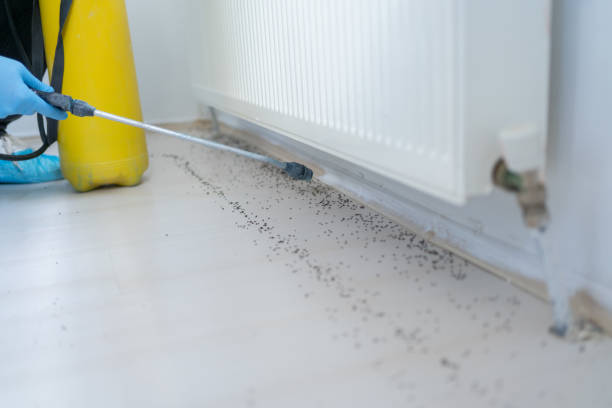 Best Insect Control  in Napavine, WA