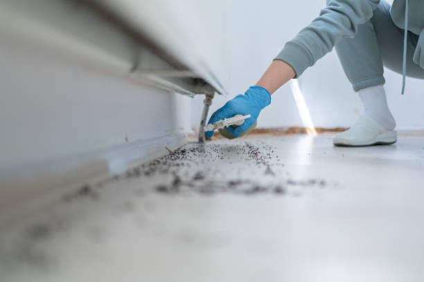Best Wildlife Control Services  in Napavine, WA